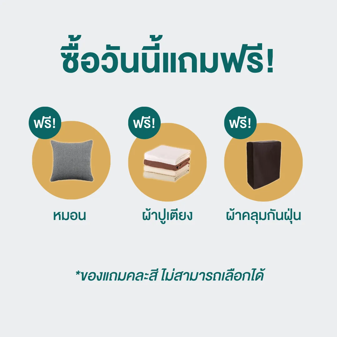 เตียงพับพรีเมียม (KY Series)