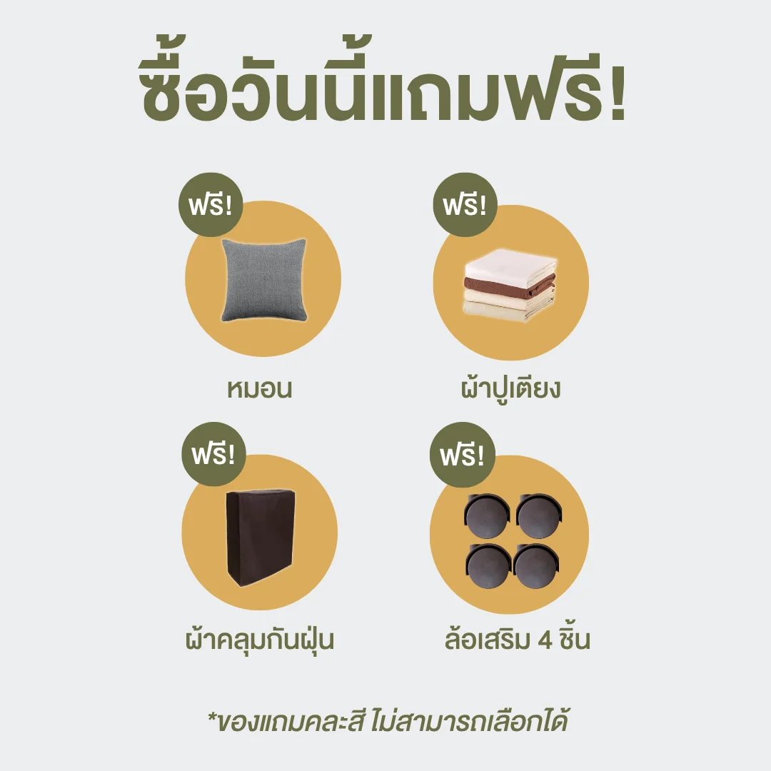 เตียงพับ KYM-80