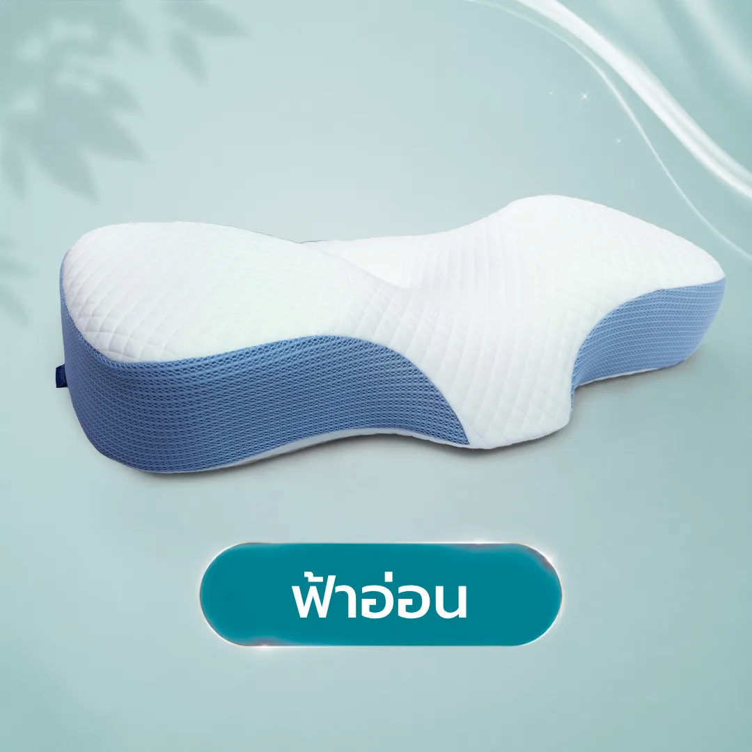 ปลอกหมอนสุขภาพ Ortho