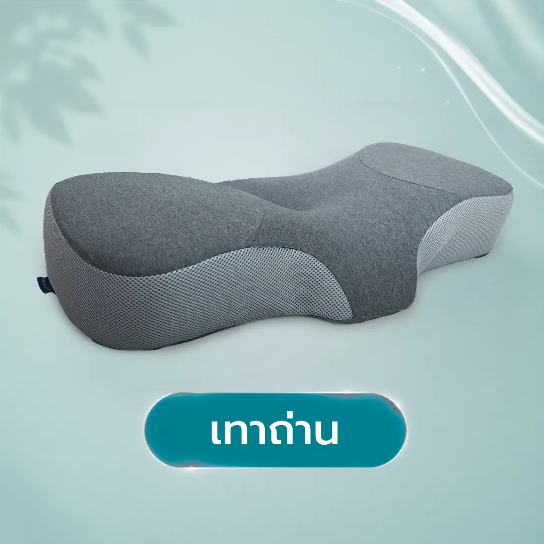 ปลอกหมอนสุขภาพ Ortho