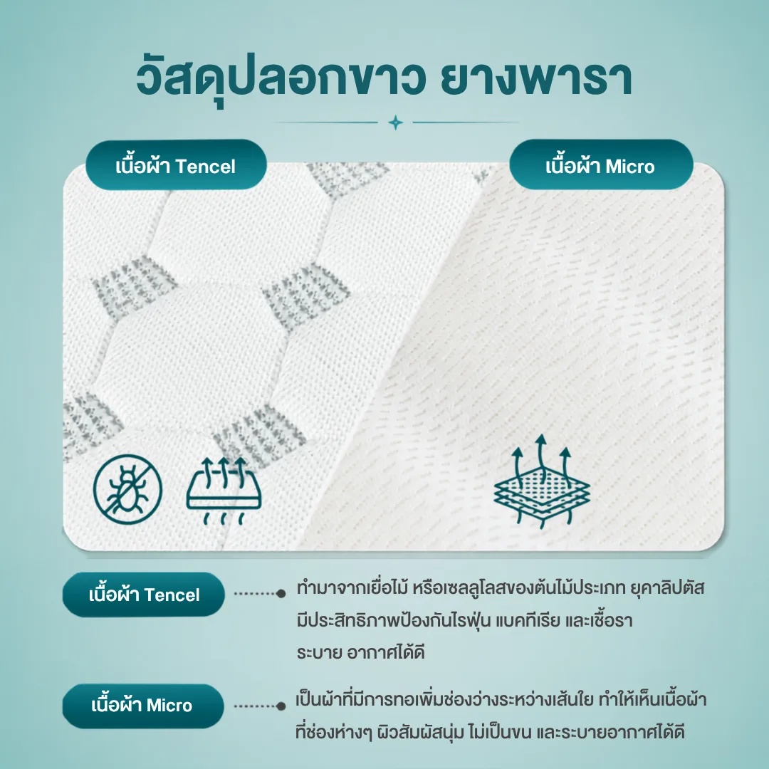 pillow-ortho-cover-04.webp