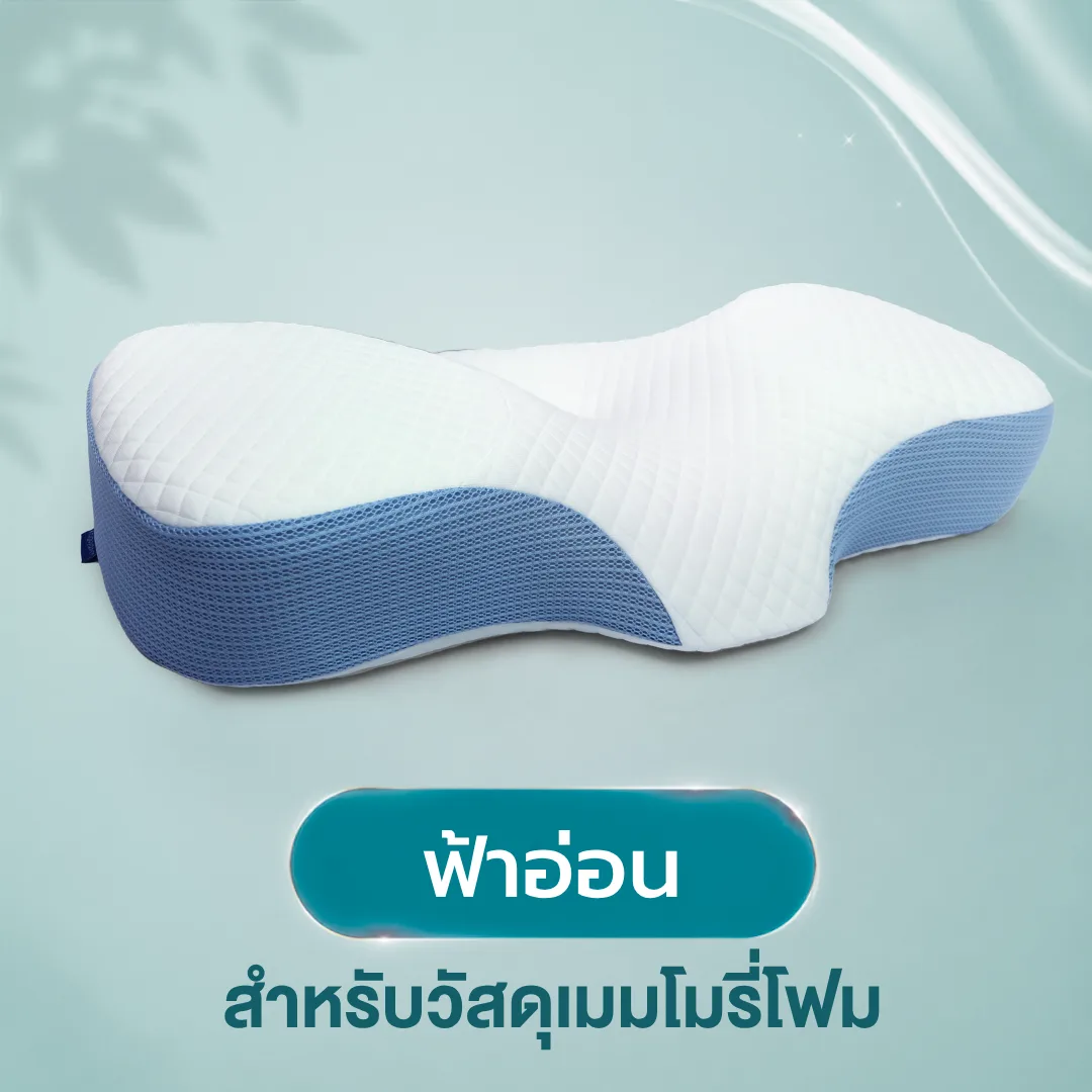 pillow-ortho-cover-06.webp